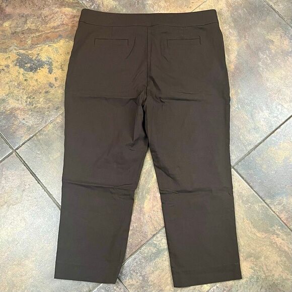 Kim Rogers Short Brown Pull-On Pants 16S - Picture 6 of 8